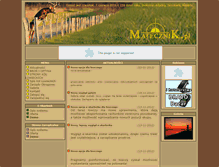 Tablet Screenshot of ematecznik.pl